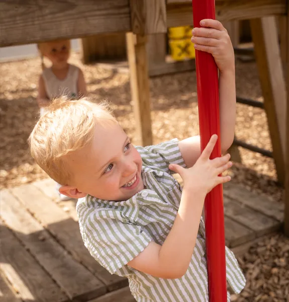 Climbing frames for your garden image
